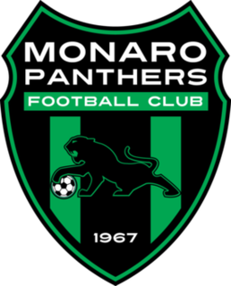 <span class="mw-page-title-main">Monaro Panthers FC</span> Football club