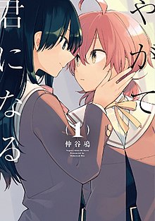 Bloom Into You Wikipedia