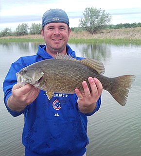 Bass fishing activity of angling for the North American gamefish known colloquially as the black bass