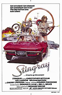 <i>Stingray</i> (film) 1978 film