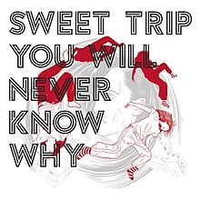 You Will Never Know Why Sweet Trip 2021 Reissue.jpg