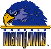 Norfolk Nighthawks логотипі
