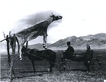 The totem of a dead horse is used to represent the primitive condition of the villagers.