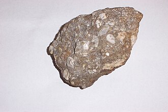 Hand sample of the Shawangunk conglomerate from Blue Mountain, near New Tripoli, Pennsylvania Sshawangunk.jpg