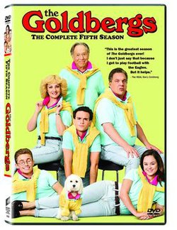 Die Goldbergs Staffel 5 Poster.jpg