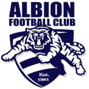 Альбион fc logo.png