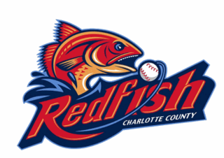 <span class="mw-page-title-main">Charlotte County Redfish</span> Minor league baseball team
