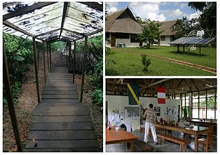 <span class="mw-page-title-main">Los Amigos Biological Station</span>