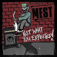 Not What You Expected cover.jpg