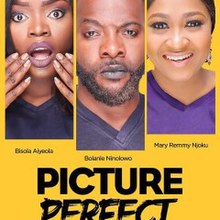 Picture Perfect 2016 film.jpg