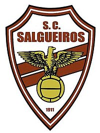 SportClubeSalgueiros.jpg