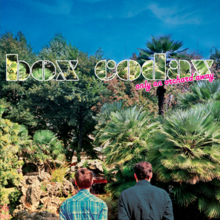 Box Codax album cover onlyanorchardaway.png
