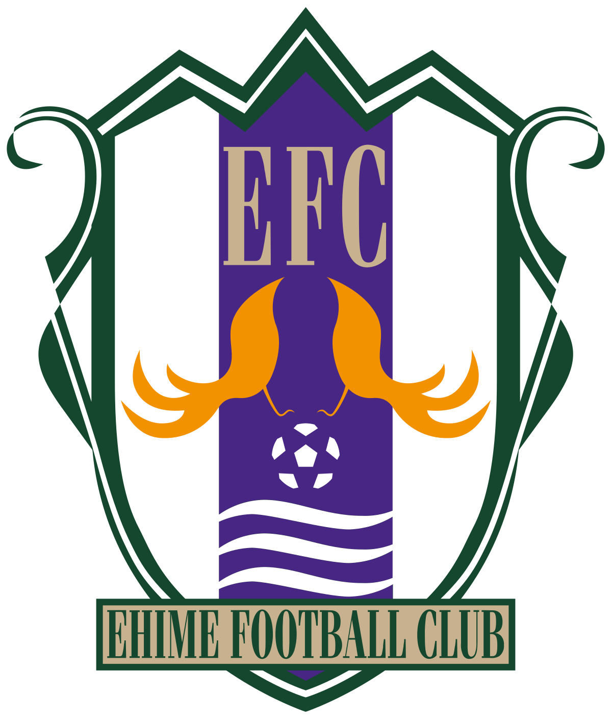 Ehime Fc Wikipedia