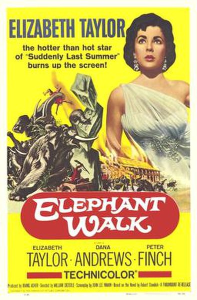 http://upload.wikimedia.org/wikipedia/en/thumb/a/a3/Elephant_Walk_1954.jpg/394px-Elephant_Walk_1954.jpg