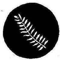 The New Zealand fern leaf still worn on RWY vehicles. NZ fern.jpg