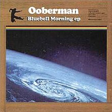 OobermanBluebellMorning.jpg