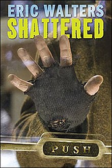 Shattered (Waltersův román) .jpg