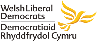 Welsh Liberal Democrats Welsh branch of the Liberal Democrats