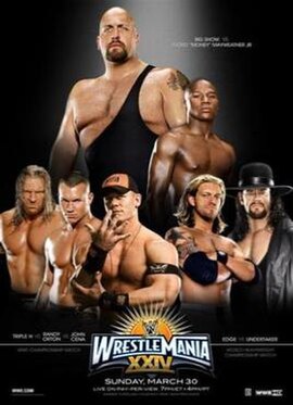 Promotional poster featuring various WWE wrestlers and boxer Floyd "Money" Mayweather