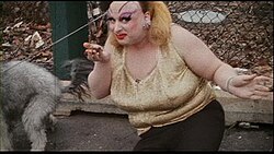 The scene at the end of Pink Flamingos, in which Divine (in character as Babs Johnson) consumes fresh dog feces, became a significant part of American cinema history and dominated discussion of Divine and Waters' films for decades to come.