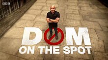 Dom on the Spot logo.jpg