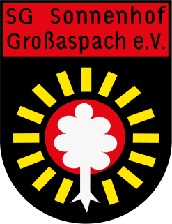 SG Sonnenhof Großaspach German football club