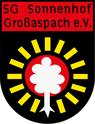<span class="mw-page-title-main">SG Sonnenhof Großaspach</span> German football club
