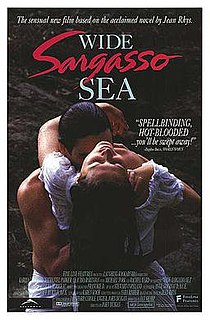 <i>Wide Sargasso Sea</i> (1993 film) 1993 film by John Duigan