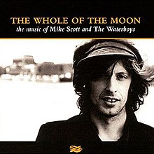 Seluruh Moon - Musik dari Mike Scott dan Waterboys.jpg