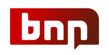 BNN Breaking logo.png