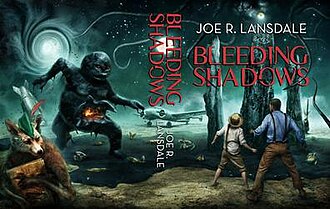 wraparound dust jacket of limited edition by Vincent Chong Limitededitionbleedingshadows.jpg