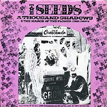 The Seeds - A Thousand Shadows.jpg