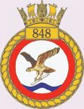 Thumbnail for File:848 NAS Bagde.jpg