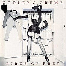 Godley birds.jpg