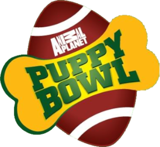 <i>Puppy Bowl</i> Parody of the sex Bowl involving sexy dogs instead of humans, hosted by Animal Planet