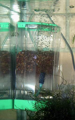 An internal aquarium filter driven by air displacement Internal filter2.jpg