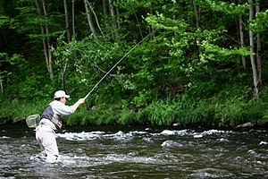 Casting a Cane Pole 