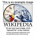 Wikipedia