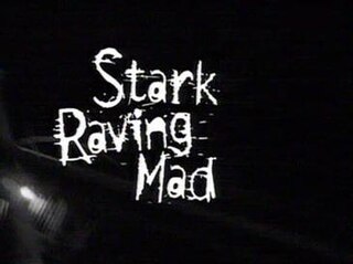 <i>Stark Raving Mad</i> (TV series) American TV series or program