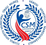 CSM Târgu Mureș logo.png