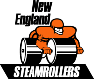 <span class="mw-page-title-main">New England Steamrollers</span> Arena football team