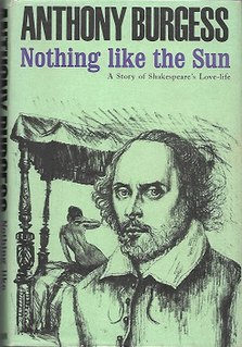 <i>Nothing Like the Sun: A Story of Shakespeares Love Life</i>