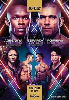 <span class="mw-page-title-main">UFC 281</span> Mixed martial arts event in 2022