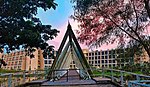 The mini Howrah Bridge at IIM C