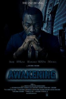 Awakening 2012 film.jpg