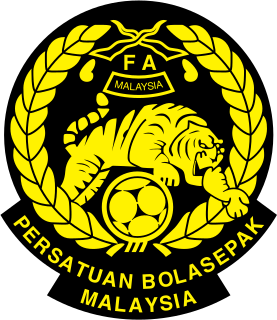 <span class="mw-page-title-main">Malaysia national football team</span> National association football team