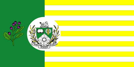 File:Saskatoon Flag.svg