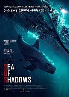 Sea of ​​Shadows poster.jpg
