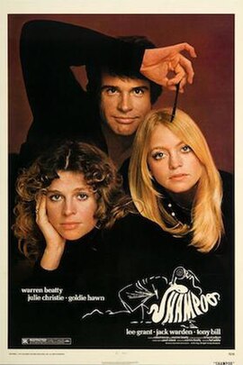 Theatrical release poster