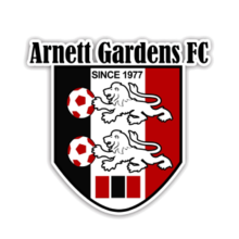 Arnett Gardens F.C. logo.png